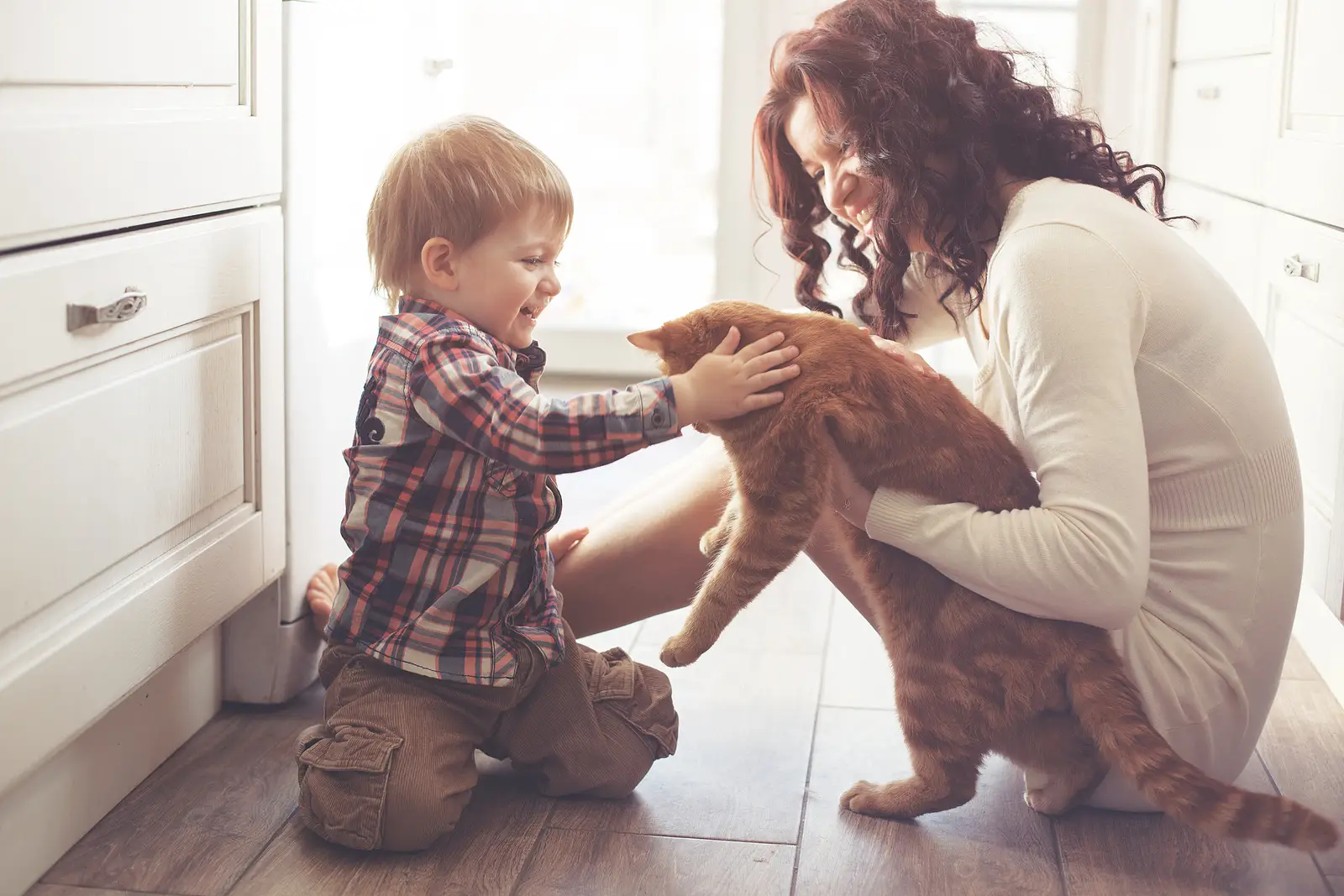 Pets and Profit: A Denver Landlord’s Guide to Smart Pet Policies